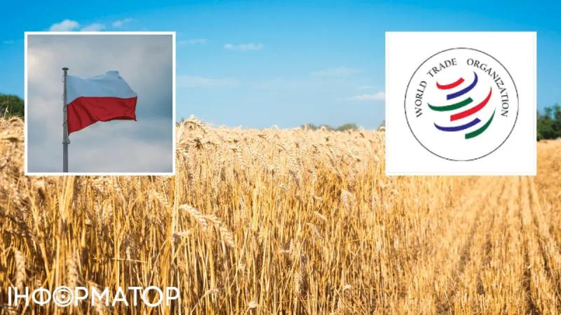 Польша недовольна решением Украины «приостановить» процесс в ВТО через зерно: что об этом известно