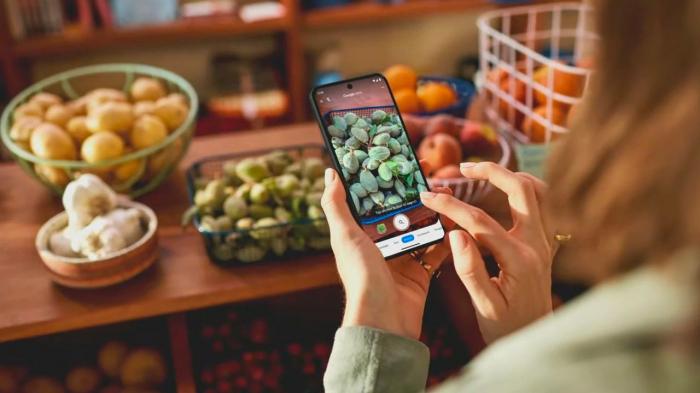 Представлен Pixel 8 — компактный флагман с обновленным дизайном и камерой.
