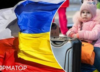 Украинцы в Польше: куда можно обратиться, чтобы получить помощь — перечень учреждений