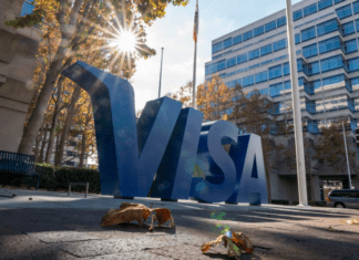 Visa выделила $100 млн на инвестиции в компании, разрабатывающих генеративный ИИ