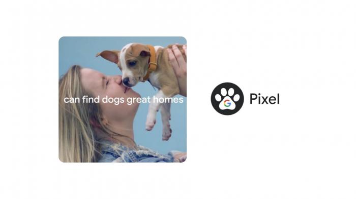 Компания Google представила программу «Pawtraits Kit», цель которой — помочь животным найти дом и бесплатно предоставить приютам Pixel 8 Pro.