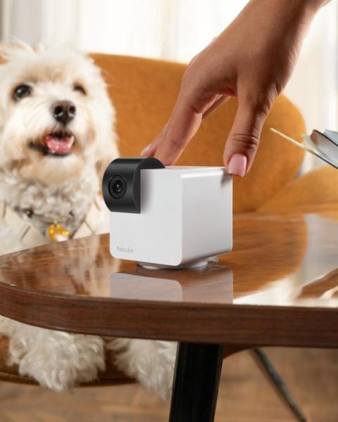 Petcube Cam 360: камера для домашних животных с обзором на 360°, ночным режимом и двусторонней связью