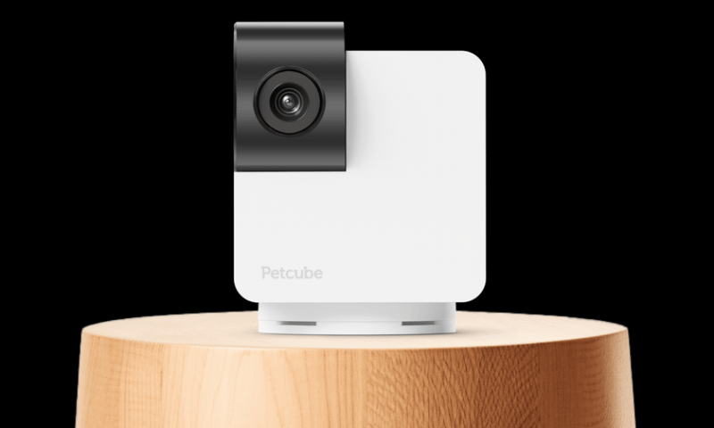 Petcube Cam 360: камера для домашних животных с обзором на 360°, ночным режимом и двусторонней связью