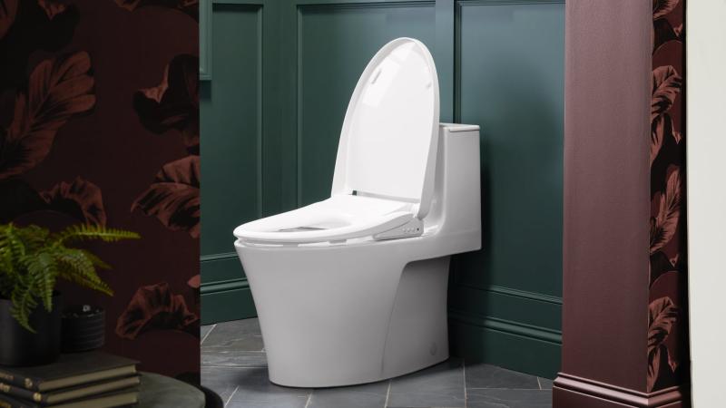 Мы добрались до Святого Грааля: сиденье для унитаза Kohler PureWash E930 с поддержкой Google Assistant и Amazon Alexa