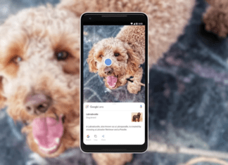 Google Lens получил функцию генерации ответов на основе ИИ для визуального поиска
