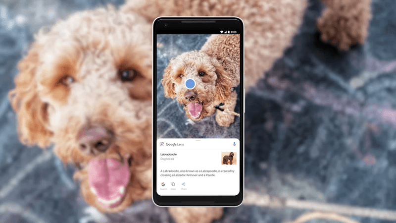 Google Lens предлагает генерацию ответов на основе искусственного интеллекта для визуального поиска