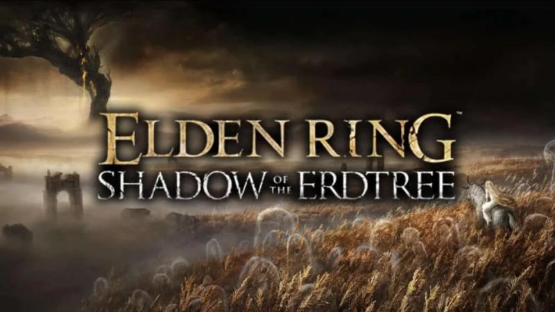 Это еще одно косвенное доказательство скорого выхода дополнения Shadow of the Erdtree для Elden Ring