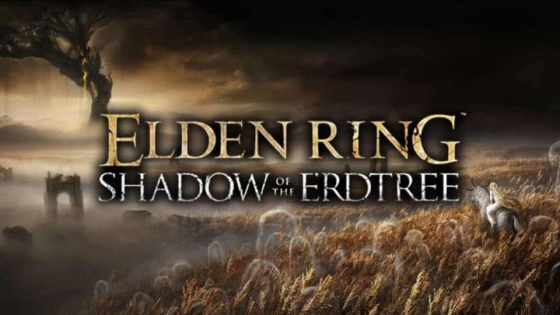 Предположительно, From Software начала финальное тестирование своего дополнения для Elden Ring: Shadow of the Erdtree