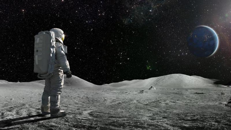 Астронавты миссии «Артемида» планируют посадить растения на Луне в 2026 году