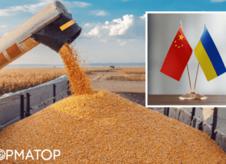 Китай отказался от украинской кукурузы – Bloomberg раскрыл причины