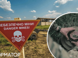 Минируют частные земельные участки: на оккупированной Херсонщине россияне прибегли к новому террору