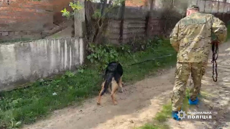 В Одесской области найдены тела женщины и малолетней дочери: в преступлении подозревается 16-летний сын убитой женщины - видео