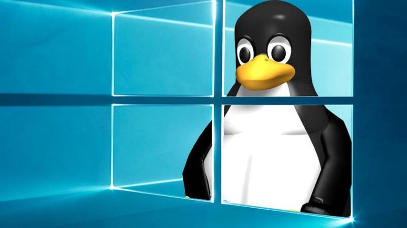 Немецкие сотрудники переходят с Windows на Linux: 30 000 сотрудников готовятся к миграции