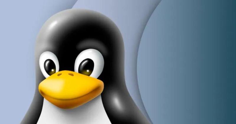 Новые недостатки в Linux: Уязвимости в «стене» создают угрозу безопасности