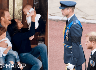 Принц Гарри смог понять поведение старшего брата: запоздалое признание