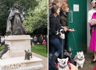 Рядом с любимыми корги: в Великобритании открыли милый памятник Елизавете II
