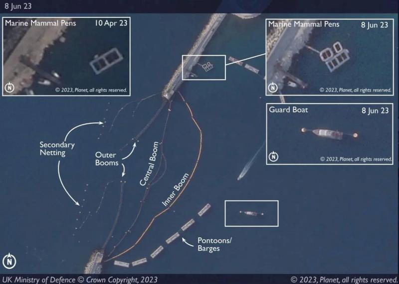 Россия использует дельфинов-разведчиков в военных операциях