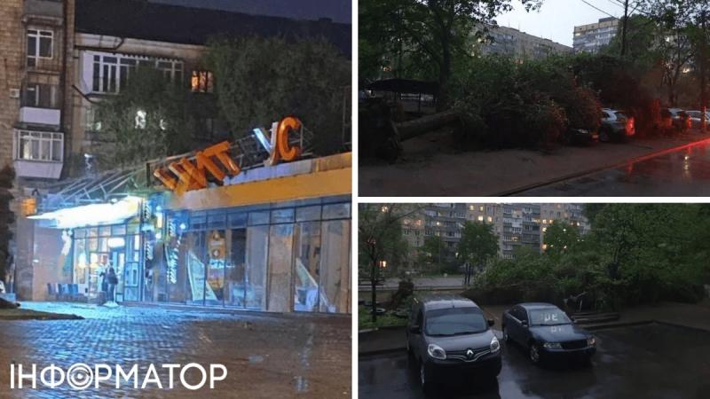 Сломанные деревья, обрушенные линии электропередач и сломанные знаки: В некоторых частях Украины бушует суровая погода - видео