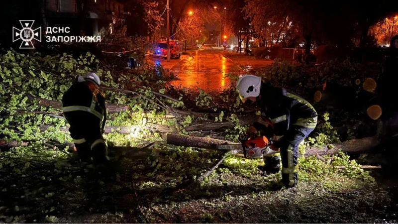 Сломанные деревья, обрушенные линии электропередач и сломанные знаки: В некоторых частях Украины бушует суровая погода - видео