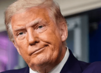 Трамп 2.0 будет не об уважении или признании, а о мести и жажде отплаты — Financial Times