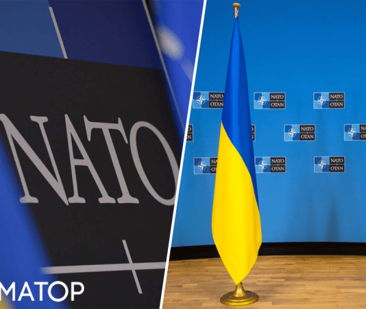 Украина не будет приглашена в НАТО на июльском саммите – NYT