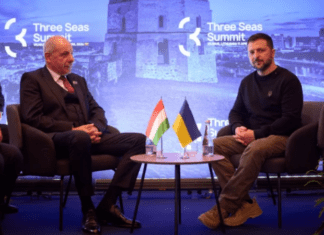 Зеленский впервые встретился с новым президентом Венгрии: о чем говорили