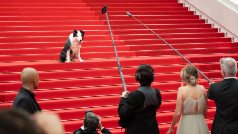 Джейн Фонда в леопарде, а Мерил Стрип словно невеста от Dior: фото с красной дорожки в Каннах