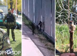 Нож, копье и разбитая бутылка: нелегалы из Беларуси ранили польских пограничников