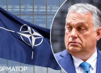 Орбан: Венгрия хочет получить особый статус в НАТО через Украину