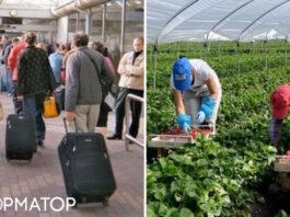 Польша испытывает дефицит сезонных рабочих: украинцы ищут лучшей доли в странах Западной Европы