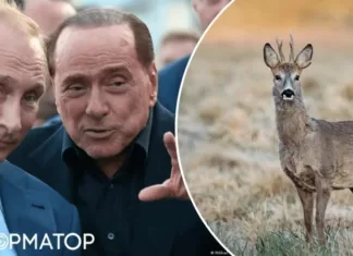 СМИ: Путин с удовольствием убил оленя, сразу вырезал сердце и накормил им Берлускони