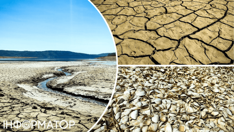 Угроза экологической катастрофы: Днестровское водохранилище теряет воду из-за обстрелов - местная фауна может исчезнуть
