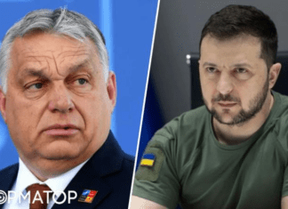 Зеленский может встретиться с Орбаном: стало известно, когда это произойдет