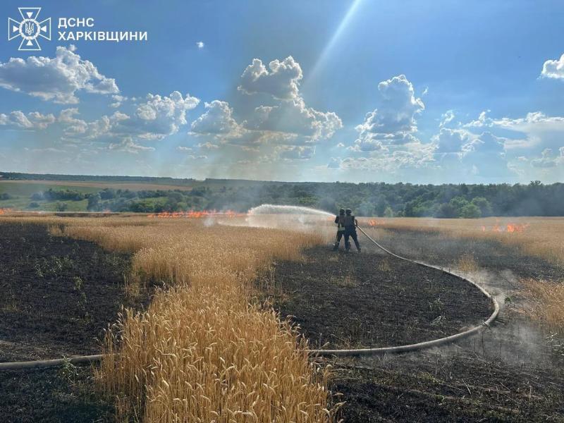 Россияне намеренно обстреляли пшеничное поле на Харьковщине, чтобы уничтожить урожай: вспыхнул пожар