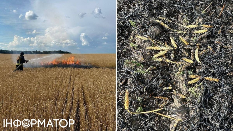 Россияне намеренно обстреляли пшеничное поле на Харьковщине, чтобы уничтожить урожай: вспыхнул пожар