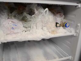 Как часто надо размораживать холодильник?