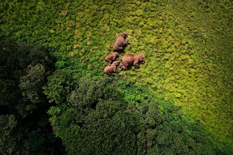 Мир глазами дронов: посмотрите лучшие работы конкурса Drone Photo Awards 2024