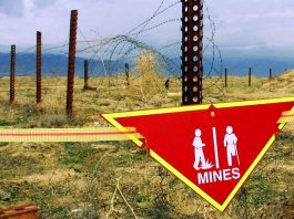 Украина не сможет выполнить обязательства по уничтожению противопехотных мин