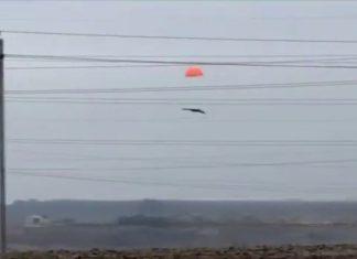 »Френдли фаер» под камеры: военные РФ по ошибке сбили свой БПЛА за 10 млн рублей