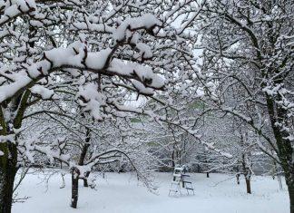 Погода в Украине в декабре: метеоролог рассказал, когда ждать вторжения холодного арктического воздуха