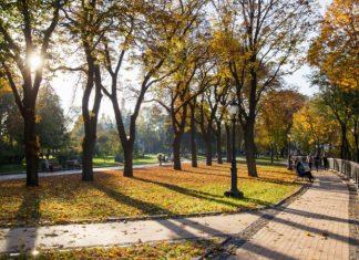 Синоптик рассказала о погоде в Украине на выходных: «Можно обойтись без зонтика и капюшона»