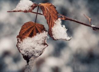 В Украину идет похолодание: синоптик рассказал, в каких областях сформируется снежный покров