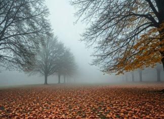 Зима врывается в Украину с опасным погодным явлением: Укргидрометцентр предупредил украинцев