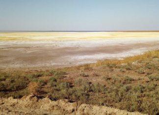 Экологическая катастрофа в Крыму: последствия вторжения России будут ощущаться веками – эксперты