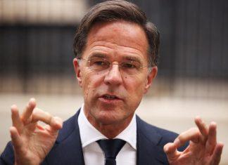 FT: «Для меня это сейчас приоритет №1», – Рютте высказался о минусах «мирного плана» Трампа