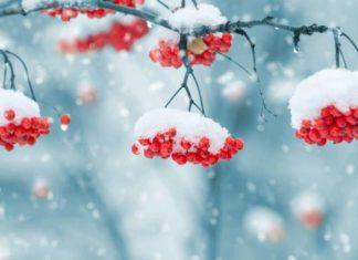 Когда ударит 20-градусный мороз и накроют метели: синоптик рассказал о погоде зимой в Украине