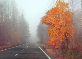 Морозы и снег откладываются: какую погоду завтра принесет Украине антициклон