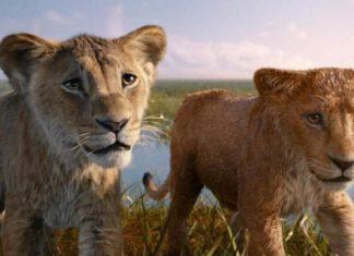 Муфаса: Король Лев принес Disney 626 миллионов долларов из кинотеатров, а в целом франшиза уже сгенерировала более $2 миллиардов