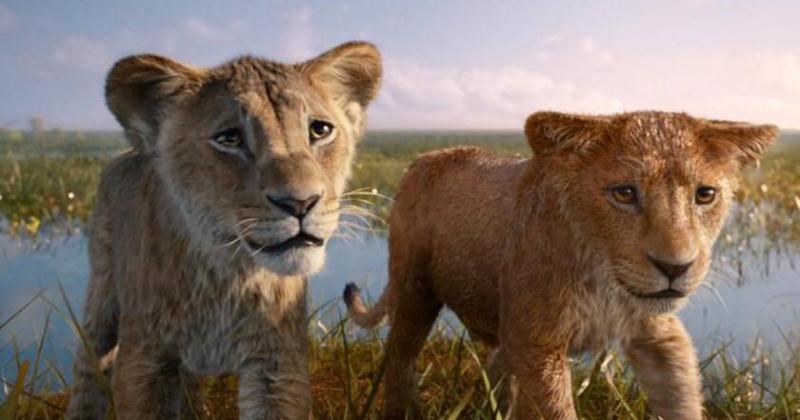 Муфаса: Король Лев принес Disney 626 миллионов долларов из кинотеатров, а в целом франшиза уже сгенерировала более $2 миллиардов