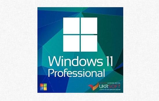 Windows 11 pro